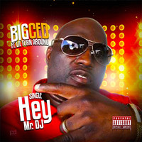 Thumbnail for the Big Ced - Hey Mr. DJ link, provided by host site