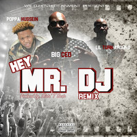 Thumbnail for the Big Ced - Hey Mr. DJ (Remix) link, provided by host site