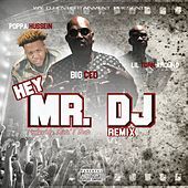 Thumbnail for the Big Ced - Hey Mr. DJ (Remix) link, provided by host site