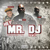 Thumbnail for the Big Ced - Hey Mr. DJ - Single [Remix] link, provided by host site