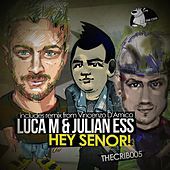 Thumbnail for the Luca M - Hey Senor! link, provided by host site
