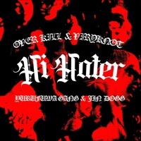 Thumbnail for the OVER KILL - Hi Hater link, provided by host site