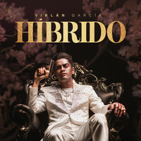 Thumbnail for the Virlán García - Híbrido link, provided by host site