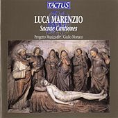 Thumbnail for the Progetto Musica - Hic est Martinus electus link, provided by host site