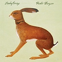 Thumbnail for the Vashti Bunyan - Hidden link, provided by host site