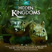 Thumbnail for the Ben Foster - Hidden Kingdoms (Original Television Soundtrack) link, provided by host site