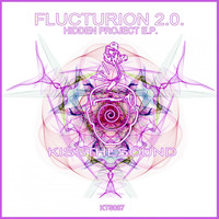 Thumbnail for the Flucturion 2.0 - Hidden Project link, provided by host site