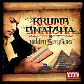 Thumbnail for the Krumbsnatcha - Hidden Scriptures link, provided by host site