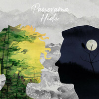 Thumbnail for the Panorama - Hide link, provided by host site