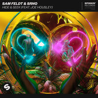 Thumbnail for the Sam Feldt - Hide & Seek link, provided by host site