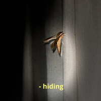 Thumbnail for the Parrotfish - Hiding link, provided by host site