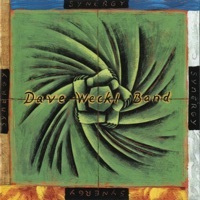 Thumbnail for the Dave Weckl - High Life link, provided by host site