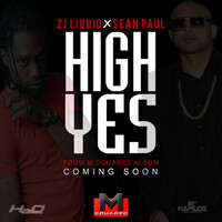 Thumbnail for the Sean Paul - High Yes link, provided by host site