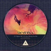 Thumbnail for the Skyfall - Higher Self link, provided by host site