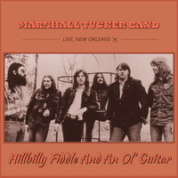 Thumbnail for the The Marshall Tucker Band - Hillbilly Fiddle and an Ol' Guitar (Live, New Orleans '75) link, provided by host site