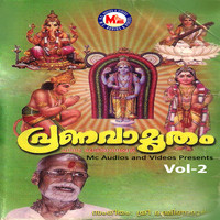 Image of T.S. Radhakrishnan linking to their artist page due to link from them being at the top of the main table on this page