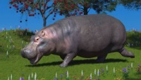 Thumbnail for the The Lazy Eyes - Hippo link, provided by host site
