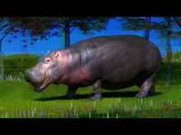 Thumbnail for the The Lazy Eyes - Hippo (Visualiser) link, provided by host site
