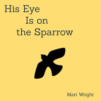 Thumbnail for the Matt Wright - His Eye Is on the Sparrow link, provided by host site