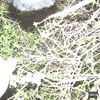 Thumbnail for the LITE - Hit link, provided by host site