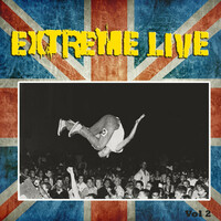 Thumbnail for the Ian Dury - Hit Me With Your Rhythm Stick - Live link, provided by host site