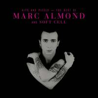 Thumbnail for the Marc Almond - Hits And Pieces – The Best Of Marc Almond & Soft Cell link, provided by host site