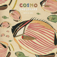 Thumbnail for the Cosmo Sheldrake - Hocking link, provided by host site