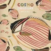 Thumbnail for the Cosmo Sheldrake - Hocking link, provided by host site