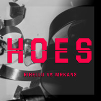 Thumbnail for the RIBELLU - Hoes link, provided by host site