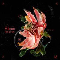 Thumbnail for the Alican - Hold On link, provided by host site