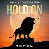 Thumbnail for the Davii - Hold On link, provided by host site