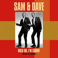 Thumbnail for the Sam and Dave - Hold On, I'm Comin' - The Hits Re-Recorded link, provided by host site