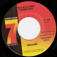Thumbnail for the Sam and Dave - Hold On, I'm Coming (Extended Remix) link, provided by host site