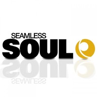 Thumbnail for the Physics - Hold On [Seamless Soul] link, provided by host site