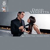 Thumbnail for the David Vendetta - Hold That Sucker Down link, provided by host site