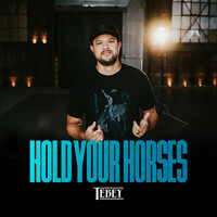 Thumbnail for the Tebey - Hold Your Horses link, provided by host site