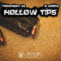 Thumbnail for the AZ - HOLLOW TIPS link, provided by host site