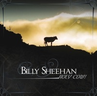 Thumbnail for the Billy Sheehan - Holy Cow! link, provided by host site