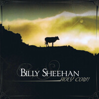 Image of Billy Sheehan linking to their artist page due to link from them being at the top of the main table on this page