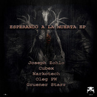 Thumbnail for the Oeschgii - Holy Tune - Cubex Remix link, provided by host site