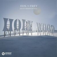 Thumbnail for the EDX - Holy Wood (Eran Hersh Remix) link, provided by host site