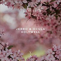 Thumbnail for the Jerro - Holywell link, provided by host site