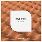 Thumbnail for the Dave Angel - Homage link, provided by host site
