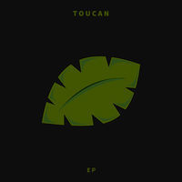 Thumbnail for the Toucan - Home link, provided by host site