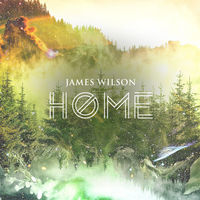Image of James Wilson linking to their artist page due to link from them being at the top of the main table on this page