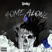 Thumbnail for the Skooly - Home Alone link, provided by host site