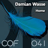 Thumbnail for the Damian Wasse - Home link, provided by host site