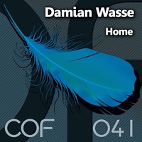 Thumbnail for the Damian Wasse - Home link, provided by host site