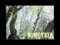 Thumbnail for the Kweku Collins - Home Tree link, provided by host site