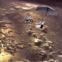 Thumbnail for the Adem - Homesongs link, provided by host site